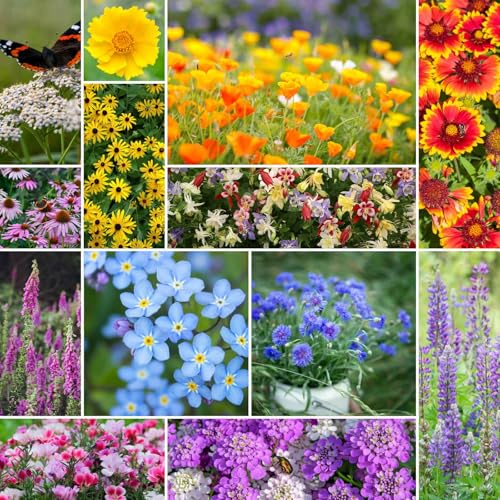 Eden Brothers Deer Resistant Wildflower Mixed Seeds for Planting, 1 lb - size: 1 Pound, style: Deer Resistant