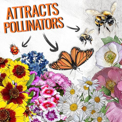 Seed Needs Wildflower Seeds Partial Shade Mix 2 Bulk Packs (1 Ounce Each) - size: 2 Packs, style: Partial Shade Mix