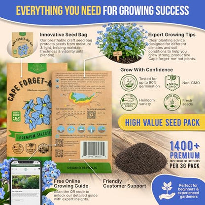 Cape Forget-Me-Not Seeds Pack 3G - Over 1,400 Non-GMO Heirloom Cape Forget-Me-Not Seeds for Planting Flowers in Individual Seed Packet, Flower Seeds for Planting Home Garden Indoor & Outdoor Gardening