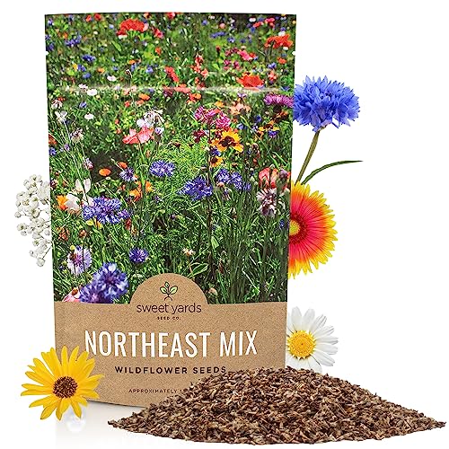 Sweet Yards - Northeast Wildflower Seed Regional Mixes - Bulk 1/4 Pound Bag - Over 30,000 Native Seeds - Open Pollinated and Non GMO Varieties for New York, Virginia, Pennsylvania, Maine and More! - size: 4 Ounce (Pack of 1), style: Northeast Regional Mix