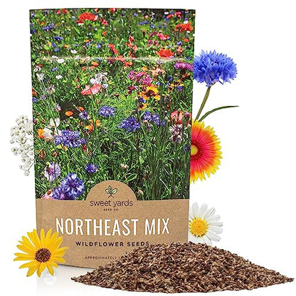 Sweet Yards - Northeast Wildflower Seed Regional Mixes - Bulk 1/4 Pound Bag - Over 30,000 Native Seeds - Open Pollinated and Non GMO Varieties for New York, Virginia, Pennsylvania, Maine and More! - size: 4 Ounce (Pack of 1), style: Northeast Regional Mix