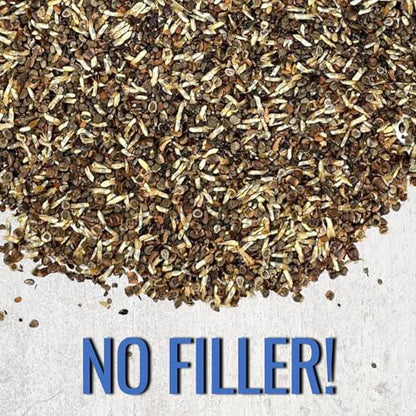 Seed Needs Low Growing Wildflower Seed Mix 2 Bulk Packs (1 Ounce Each) - size: 2 Packs, style: Low Growing Mix