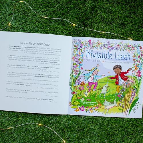 The Invisible Leash: An Invisible String Story About the Loss of a Pet (The Invisible String, 3)