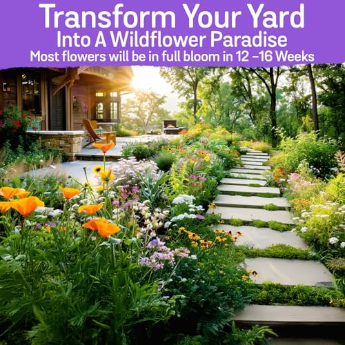 NatureZ Edge Wildflower Seeds, 1/2 lb, 340,000 Seed, 35 Variety Perennial & Annual Flower Seeds to Plant Outside, Bulk Wildflower Seed, Wild Flower, Semillas de Flores - size: 1/2 lb