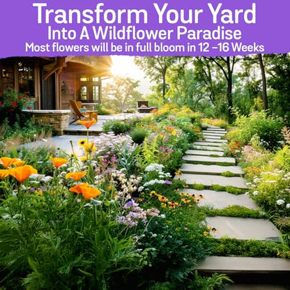 NatureZ Edge Wildflower Seeds Mix – 2 Oz, 85,000 Seeds, 35 Variety Perennial & Annual Flower Seeds to Plant Outside, Bulk Wildflower Seeds, Wild Flower, Semillas de Flores - size: 2 oz