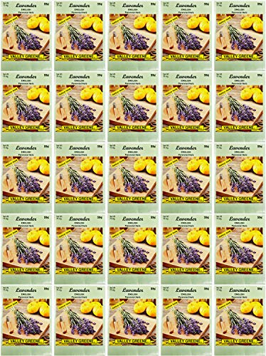 Black Duck Brand Set of 25 Lavender Flower Seed Packets! Flower Seeds in Bulk - Great for Creating The Garden of Your Dreams! (25, Lavender) - color: Lavender