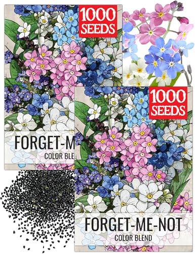 Seed Needs Forget Me Not Seeds to Plant Blue White & Pink Flowers 2 Packs - size: 2 Packs, style: Mixed FMN