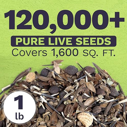 Bulk Wildflower Seeds Butterfly and Hummingbird Mix - 1 Pound Bag - Over 120,000 Open Pollinated Annual and Perennial Seeds - size: Bulk 1 Pound
