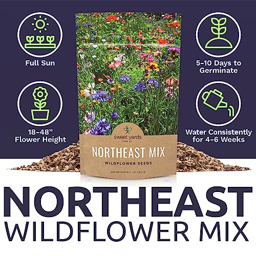 Sweet Yards - Northeast Wildflower Seed Regional Mixes - Bulk 1/4 Pound Bag - Over 30,000 Native Seeds - Open Pollinated and Non GMO Varieties for New York, Virginia, Pennsylvania, Maine and More! - size: 4 Ounce (Pack of 1), style: Northeast Regional Mix