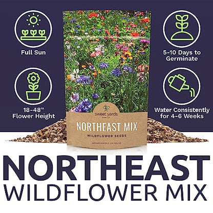 Sweet Yards - Northeast Wildflower Seed Regional Mixes - Bulk 1/4 Pound Bag - Over 30,000 Native Seeds - Open Pollinated and Non GMO Varieties for New York, Virginia, Pennsylvania, Maine and More! - size: 4 Ounce (Pack of 1), style: Northeast Regional Mix