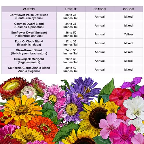 Seed Needs Wildflower Seeds Large Blooms Mix 10 Bulk Packs (1 Ounce Each) - size: 10 Packs, style: Large Blooms Mix