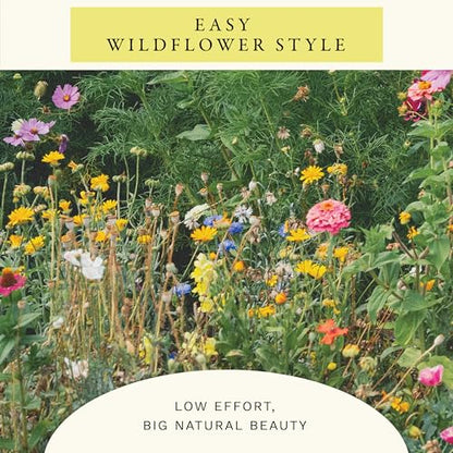 Sereniseed Hummingbird Wildflower Mix Seeds (2 oz)