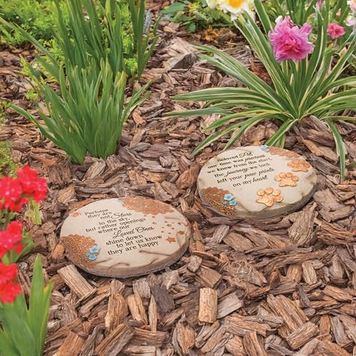 Pavilion Gift Company 19059 Light Your Way Memorial Garden Stone, 10-Inch, Beloved Pet