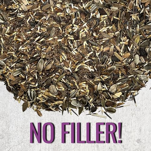 Seed Needs Wildflower Seeds Large Blooms Mix 10 Bulk Packs (1 Ounce Each) - size: 10 Packs, style: Large Blooms Mix