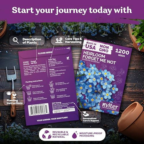 1200 Forget Me Not Heirloom Flower Seeds for Planting, Myosotis Sylvatica | Charming Blue Spring Flowers for Shady Gardens, Easy to Grow Seed Packets , Heirloom Seeds for Planting, Perfect for Borders