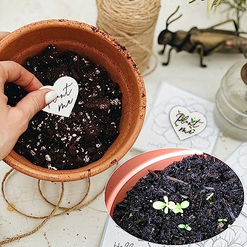 50 Plantable Wildflower Paper, Ecological Heart Shaped Babyshower Favors for Guests - Bridal Funeral Memorial Plantable Gifts NO Cards