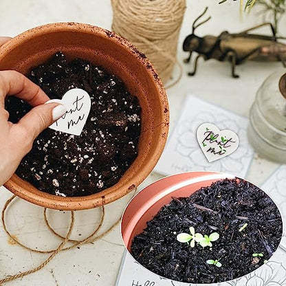 50 Plantable Wildflower Paper, Ecological Heart Shaped Babyshower Favors for Guests - Bridal Funeral Memorial Plantable Gifts NO Cards
