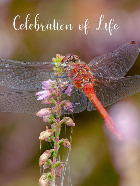Celebration of Life: Deluxe Guest Book for Memorial Service and Funeral Visitors Book. Dragonfly and Flowers.