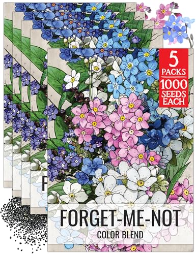 Seed Needs Forget Me Not Seeds to Plant Blue White & Pink Flowers 5 Packs - size: 5 Packs, style: Mixed FMN