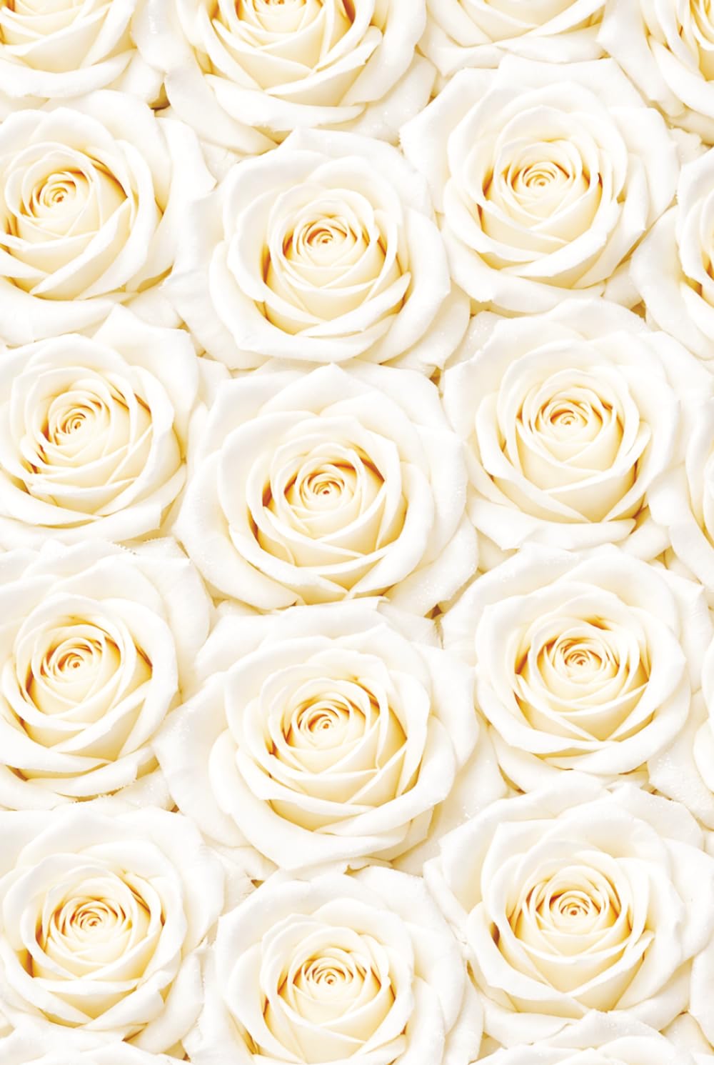 Remembering Mom – A Journal for Writing Memories, Love, and Emotions: Guided Prompts for Reflection and Healing – With Memory Pages, Letter Writing, ... Sympathy Gift – White Roses Book Cover