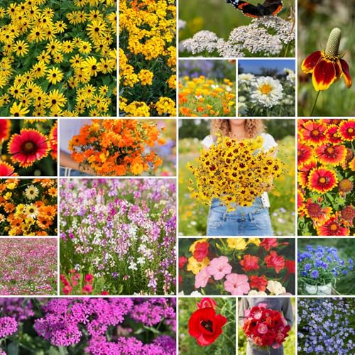 Eden Brothers Dry Area Wildflower Mixed Seeds for Planting, 1/4 lb - size: 1/4 Pound, style: Dry Area