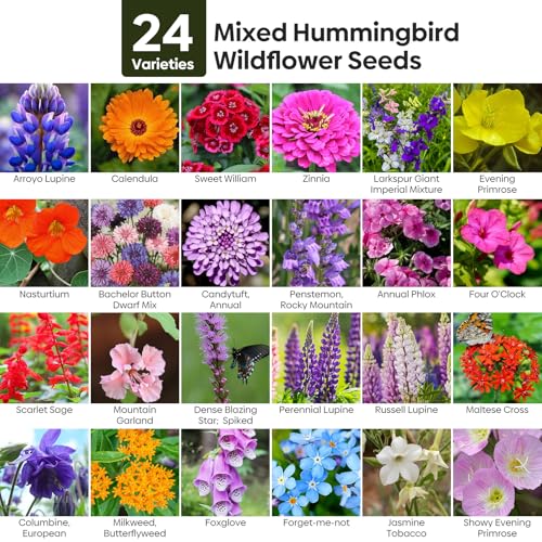 Groundio 25,000+ Wildflower Seeds Mix 1 Oz, 24 Varieties Perennial & Annual Seeds for Hummingbirds and Butterflies, High Germination Flower Seeds Throw and Grow to Plant Outside, No Filler