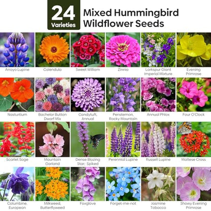 Groundio 25,000+ Wildflower Seeds Mix 1 Oz, 24 Varieties Perennial & Annual Seeds for Hummingbirds and Butterflies, High Germination Flower Seeds Throw and Grow to Plant Outside, No Filler