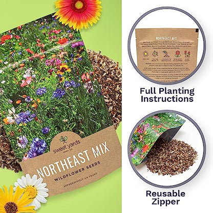 Sweet Yards - Northeast Wildflower Seed Regional Mixes - Bulk 1/4 Pound Bag - Over 30,000 Native Seeds - Open Pollinated and Non GMO Varieties for New York, Virginia, Pennsylvania, Maine and More! - size: 4 Ounce (Pack of 1), style: Northeast Regional Mix