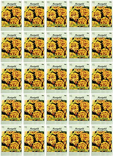 Black Duck Brand Set of 25 Packs of Marigold Sparky Flower Seed Packets! Flower Seeds in Bulk - Great for Creating The Garden of Your Dreams! (25, Marigold - Sparky Mixed) - color: Marigold - Sparky Mixed