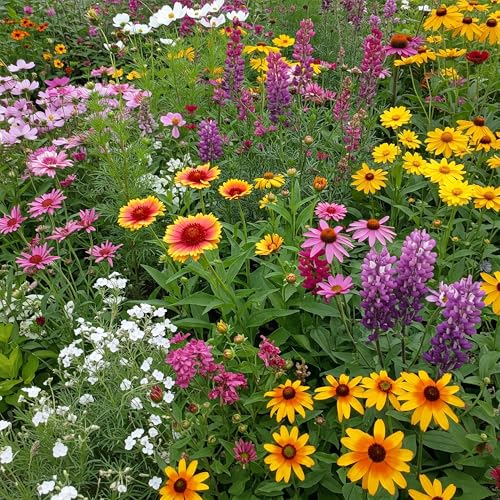 Ferry-Morse Cut Flower Bulk Wildflower Seeds, 280,000+, 1 lb - color: Cut Flower