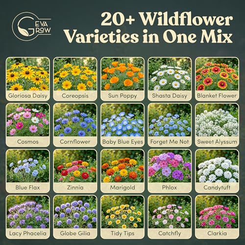 Wildflower Seed Shaker – Annual Mix by GevaGrow | 17 Variety Flower Seeds for Planting in Pots & Outdoor Gardens, Bulk 300,000+ Seeds - 1 Pound Tub - size: 1 Pound Tub, style: Annual Wildflower Mix