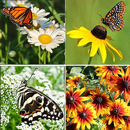 Perennial Wildflower Seeds Package with 25 Different Varieties 100,000 Seeds, Hummingbird and Butterfly Garden, Popular Perennial Flower, Non-GMO Wildflower Mix for Your Garden