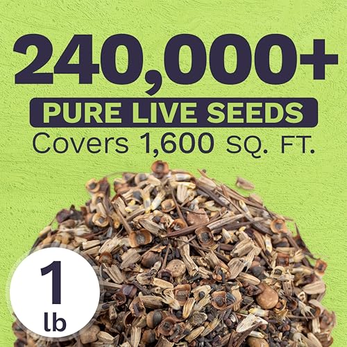Texas Oklahoma Regional Mix Seeds for Planting - Bulk 1 Pound Bag - Over 240,000 Native Seeds - Open Pollinated and Non GMO - size: Bulk 1 Pound, style: Texas / Oklahoma Regional Mix