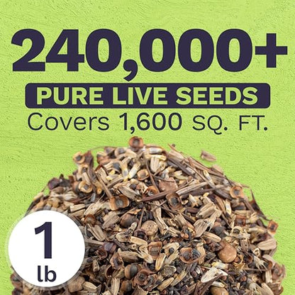 Texas Oklahoma Regional Mix Seeds for Planting - Bulk 1 Pound Bag - Over 240,000 Native Seeds - Open Pollinated and Non GMO - size: Bulk 1 Pound, style: Texas / Oklahoma Regional Mix