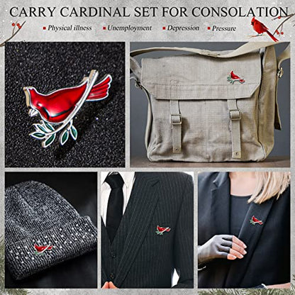 Jexine 20 Pcs Cardinal Pins Memorial Funeral Pocket Gifts - style: Classic