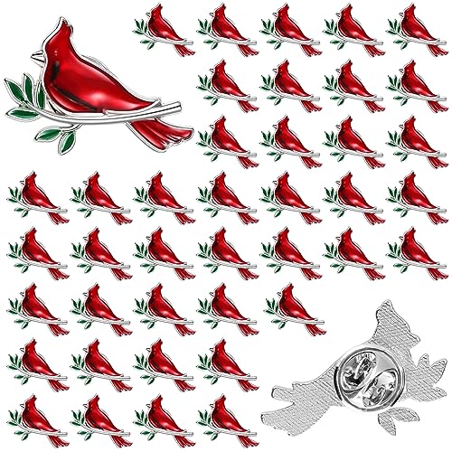 Jexine Memorial Cardinal Sign Pins Set Funeral Pocket Token Guardian Gifts Pocket Oil Dropped Religious Funeral Favors Celebration of Life Memorial Sympathy Gifts Cardinal Charms for Women Man