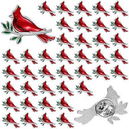 Jexine Memorial Cardinal Sign Pins Set Funeral Pocket Token Guardian Gifts Pocket Oil Dropped Religious Funeral Favors Celebration of Life Memorial Sympathy Gifts Cardinal Charms for Women Man