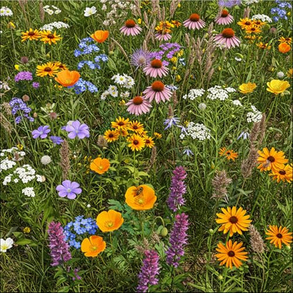 Ferry-Morse Bee Feed Bulk Wildflower Seeds, 680,000+, 1 lb - color: Bee Feed