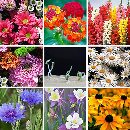Ezoon Plantable Wildflower Seed Paper Hearts In Loving Memory 50 Pack Funeral Favors