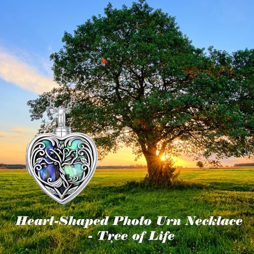 TOUPOP Heart Urn Locket Necklace for Ashes and Pictures 925 Sterling Silver Locket Cremation Jewelry with Abalone Shell Keepsake Memorial Gifts for Women（That Holds Pictures and Ashes） - style: Tree of Life