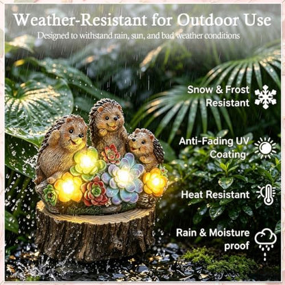 Hedgehog Solar Garden Statues with Succulent Animal Figurines - color: Brown-hedgehog03