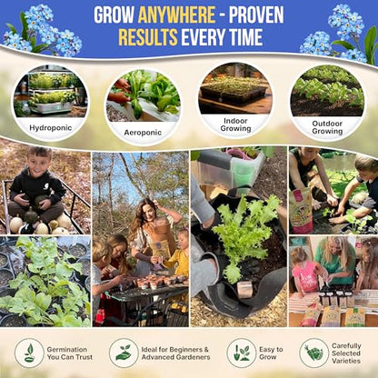 Cape Forget-Me-Not Seeds Pack 3G - Over 1,400 Non-GMO Heirloom Cape Forget-Me-Not Seeds for Planting Flowers in Individual Seed Packet, Flower Seeds for Planting Home Garden Indoor & Outdoor Gardening