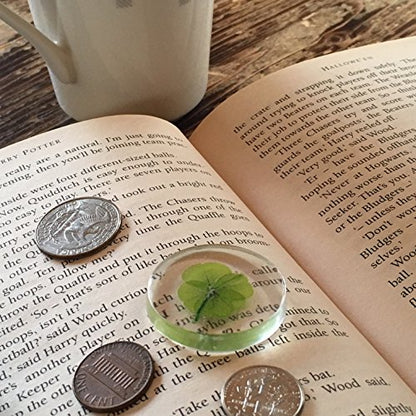 Real Four Leaf Clover Good Luck Pocket Token, Preserved, Preserved-Flowers, 1.25”