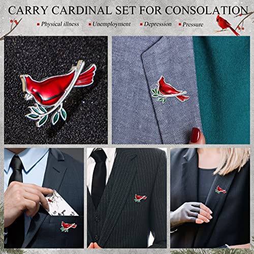 Geosar 150 Pcs Cardinal Pins Bulk Funeral Favors for Gifts, Classic - style: Classic