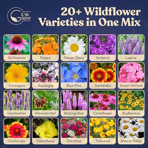 Bulk Wildflower Seed Shaker – Perennial Flower Seeds Mix to Plant Anywhere, by Geva Grow | 20 - Different Type Beautiful Perennial Wildflower Seeds Bulk 900,000+ Seeds, 1 Pound Tub - size: 1 Pound Tub, style: Premium Perennial Mix