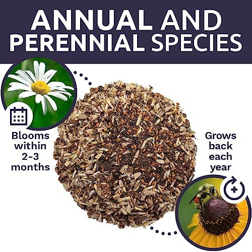 Sweet Yards - Northeast Wildflower Seed Regional Mixes - Bulk 1/4 Pound Bag - Over 30,000 Native Seeds - Open Pollinated and Non GMO Varieties for New York, Virginia, Pennsylvania, Maine and More! - size: 4 Ounce (Pack of 1), style: Northeast Regional Mix