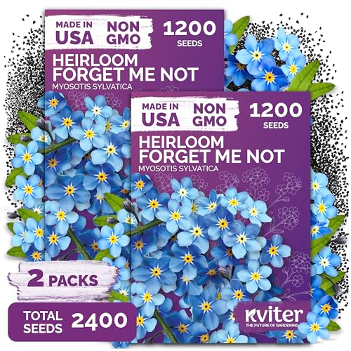 2,400 Forget Me Not Heirloom Flower Seeds for Planting, Myosotis Sylvatica | Charming Blue Spring Flowers for Shady Gardens, Easy to Grow Seed Packets , Heirloom Seeds for Planting, Perfect for Borders