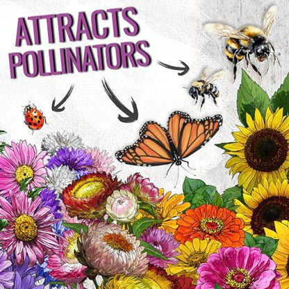 Seed Needs Wildflower Seeds Large Blooms Mix 5 Bulk Packs (1 Ounce Each) - size: 5 Packs, style: Large Blooms Mix