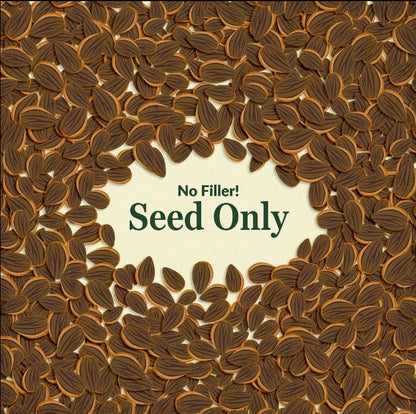 Ferry-Morse Bumblebee Buffet Bulk Wildflower Seeds, 290,000+, 1 lb - color: Bumblebee Buffet