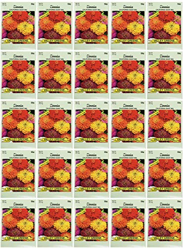 Black Duck Brand Set of 25 Packs of Zinnia California Flower Seed Packets! Flower Seeds in Bulk - Great for Creating The Garden of Your Dreams! (25, Zinnia - California Mix) - color: Zinnia - California Mix